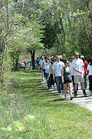 NAMIWalk07 (315) 